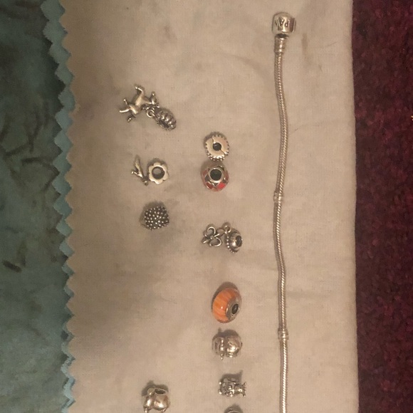 Pandora Bracelet with Charms - Picture 2 of 2